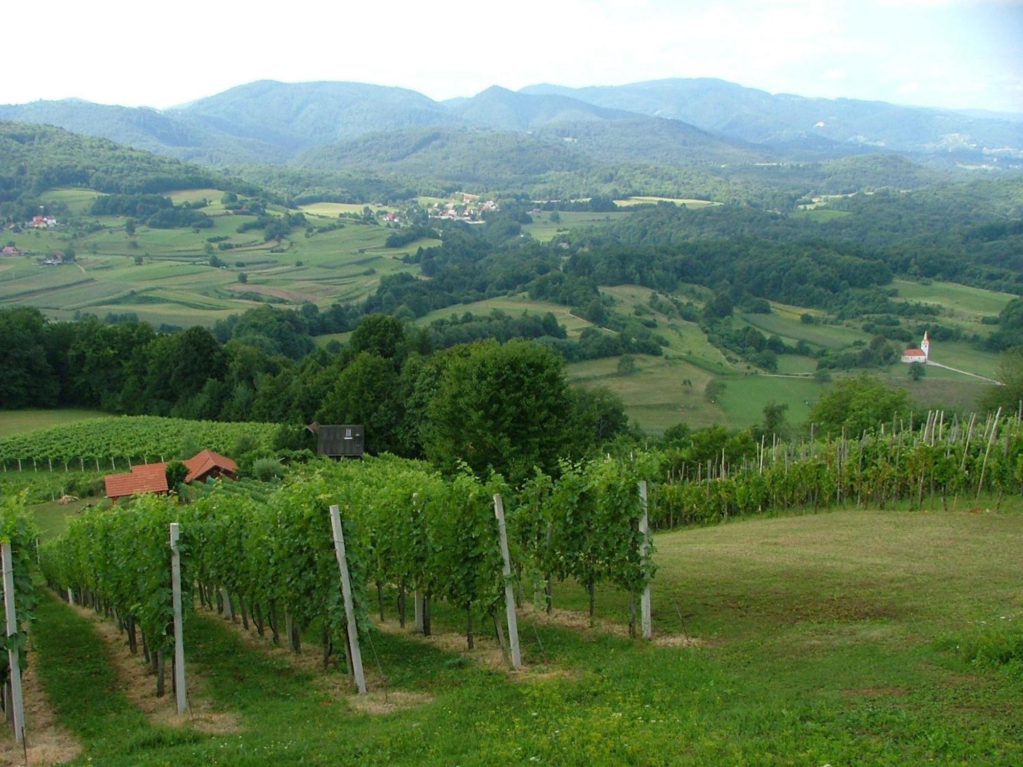 Tourist Farm Pri Martinovih Krška Vas Exterior foto